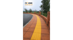 Asian Tactile and Matrix Tiles, Mayadevi Temple, Lumbini Footpath Walkway